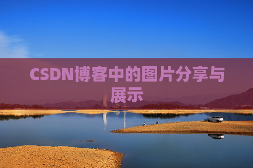 CSDN博客中的图片分享与展示